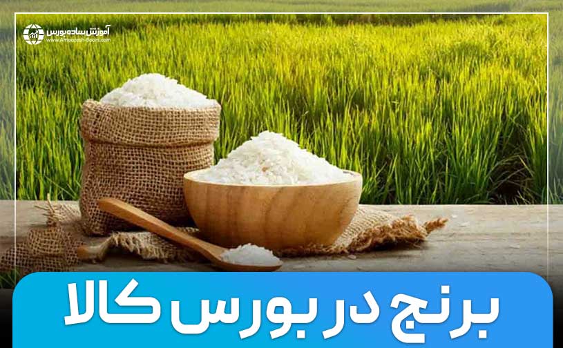 نحوه خرید برنج از بورس کالا | از ۱ تا ۱۰۰ کیلوگرم