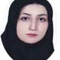 مترجم در دنیای ترید