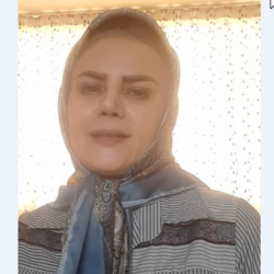 کارمند و مدرس دانشگاه