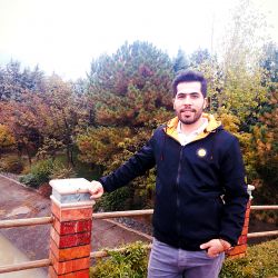 کارشناس برنامه و بودجه ریزی شرکت مپنا بویلر 