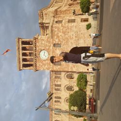 پرورش دام گوشتی