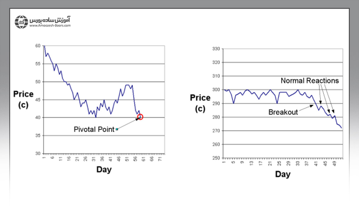 پیوت&zwnj;پوینت&zwnj;ها 